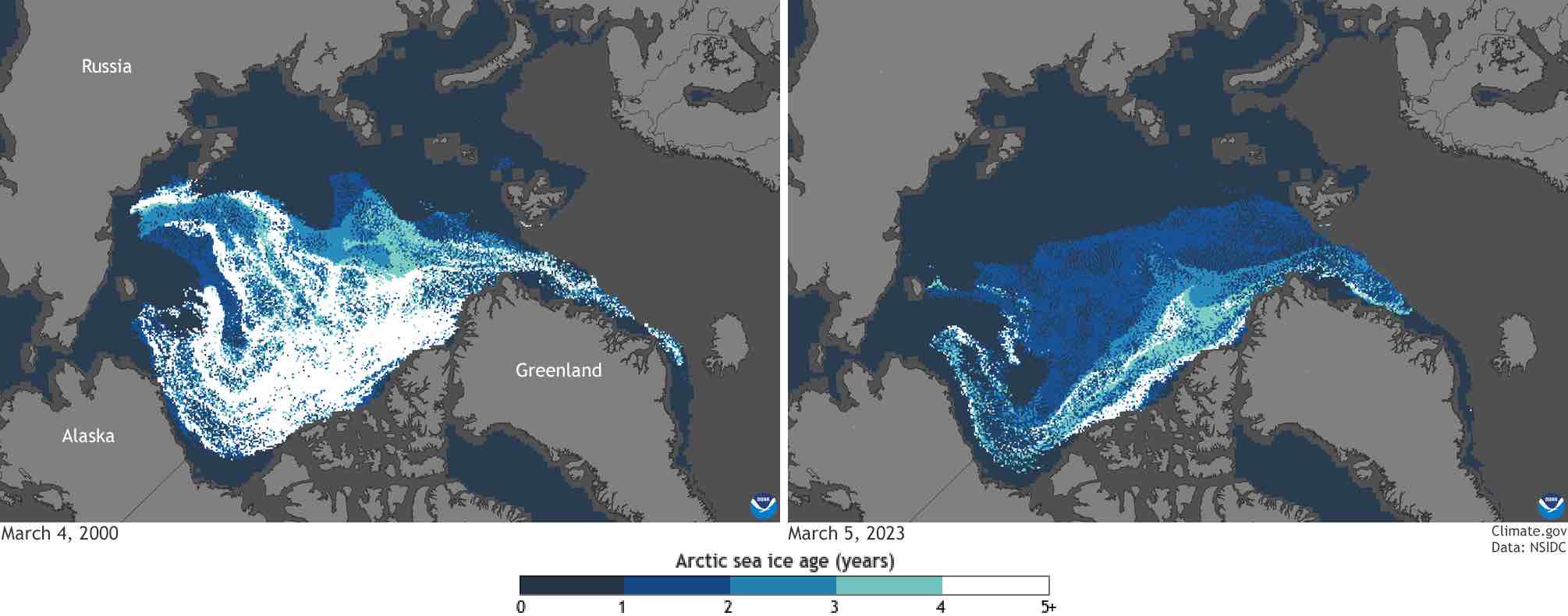 What Science Says Arctic Reflections