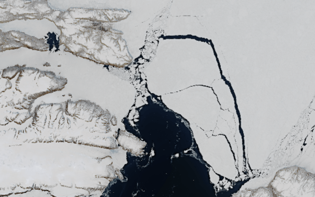 Keep it in the Arctic: Preserving Arctic sea ice by limiting ice export  