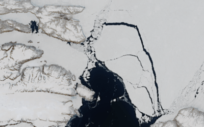 Keep it in the Arctic: Preserving Arctic sea ice by limiting ice export  
