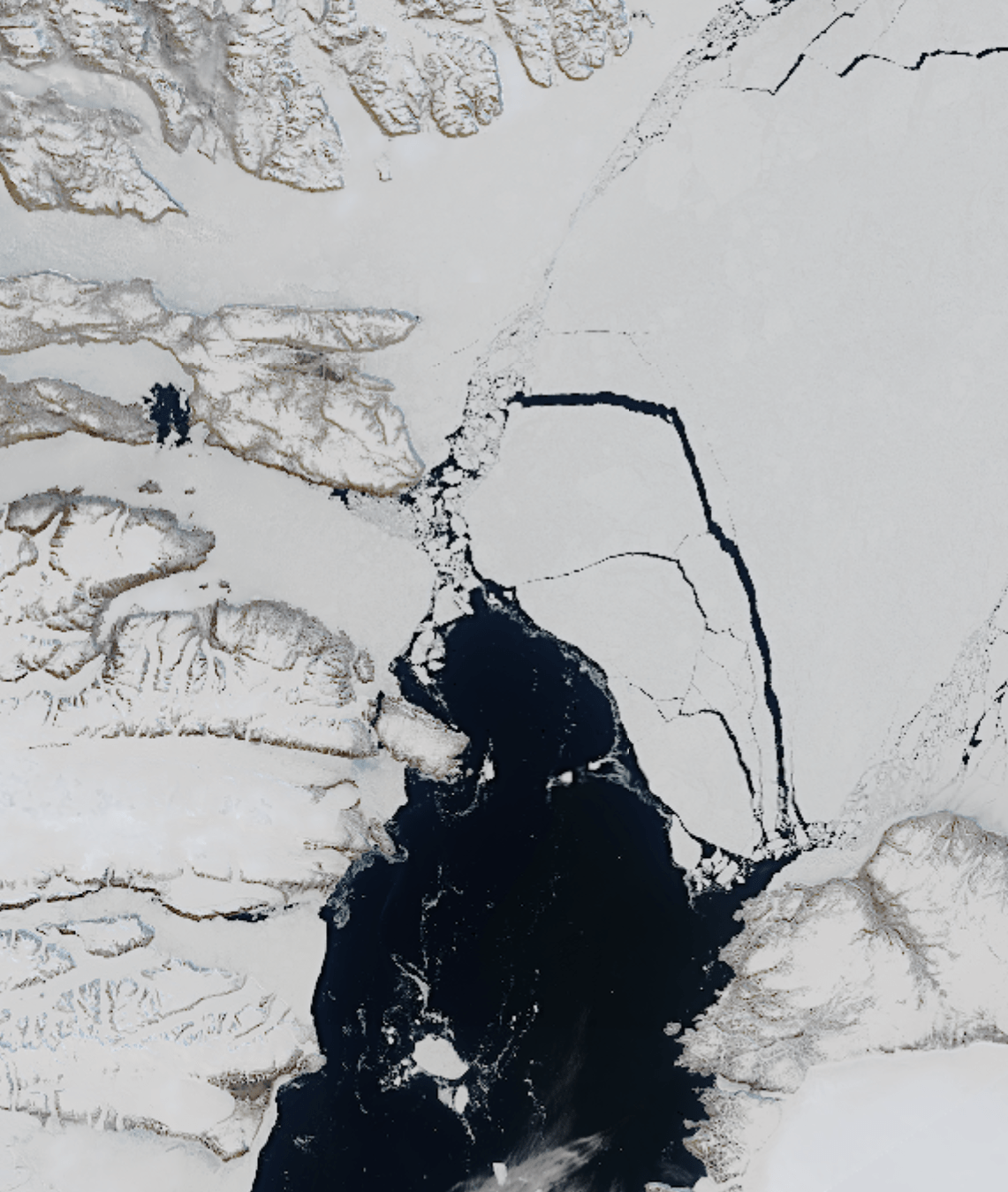Keep it in the Arctic: Preserving Arctic sea ice by limiting ice export  